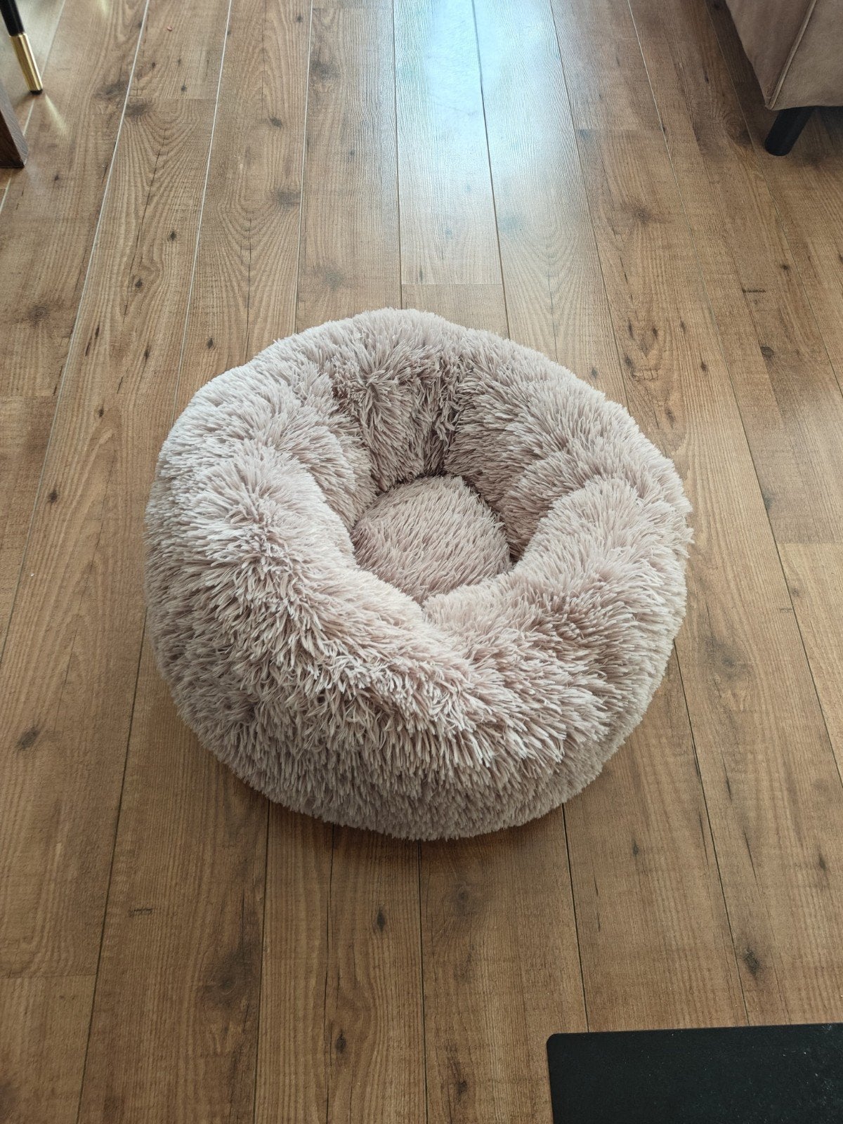 Katten/Kleine hondenmand, Dieren en Toebehoren, Ophalen