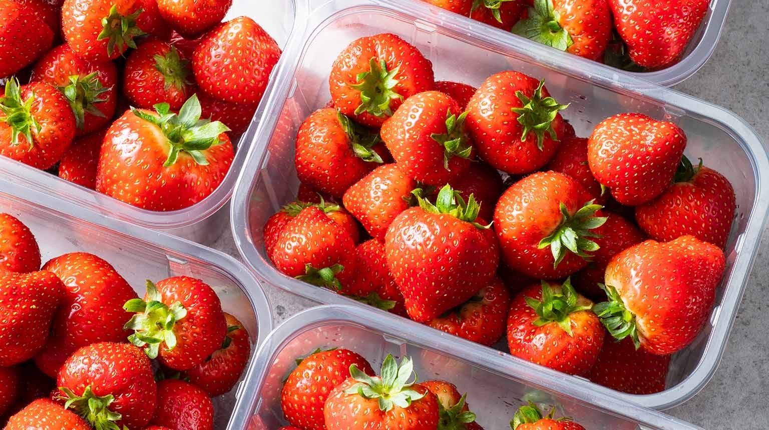 MET SPOED GEZOCHT: Grote partij verse aardbeien, Diversen, Ophalen of Verzenden