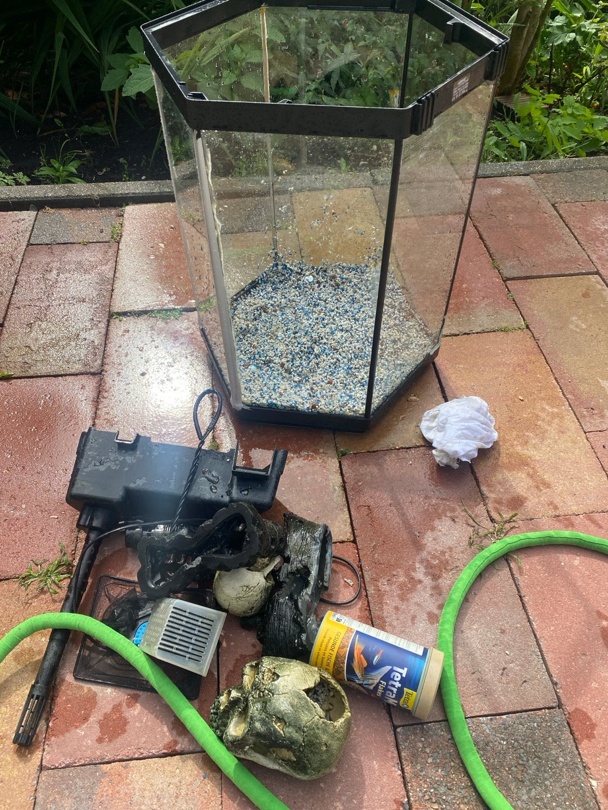 Aquarium plus 12 vissen, Ophalen, Gevuld zoetwateraquarium