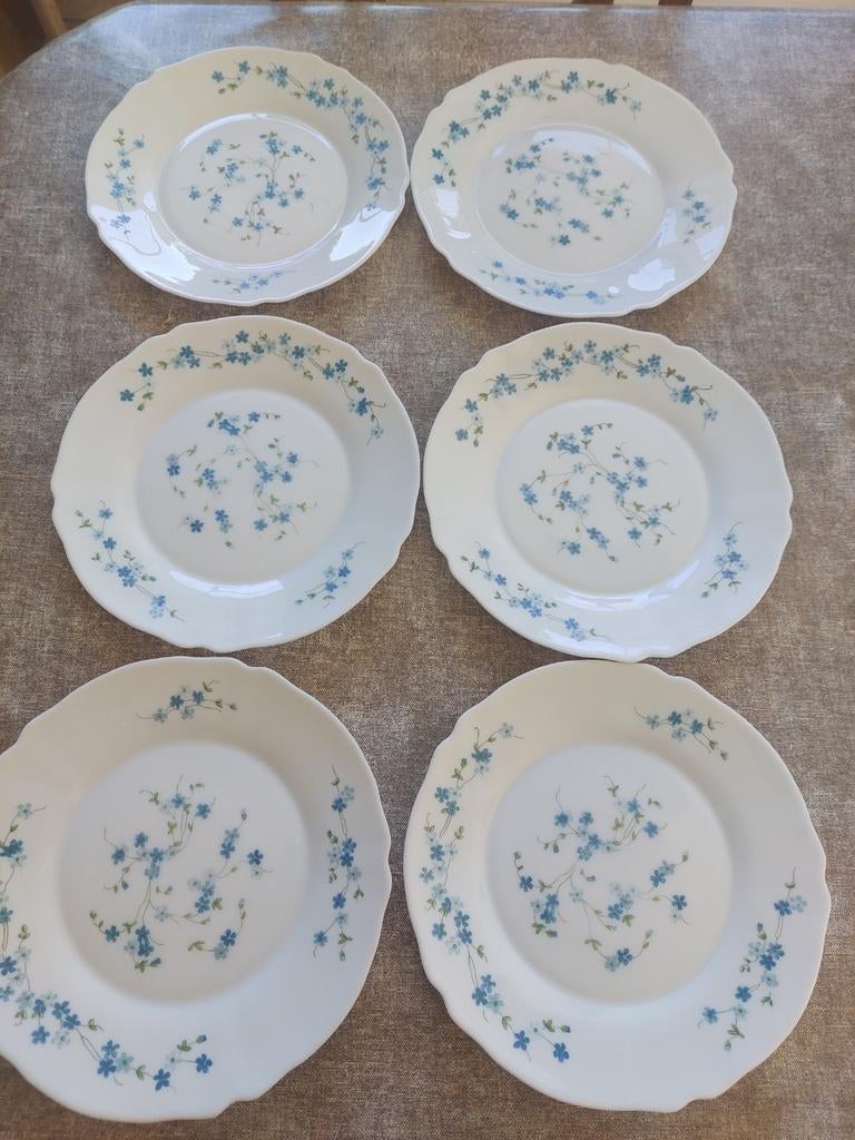 6 Arcopal Veronica dinerborden, platte borden, Huis en Inrichting, Gebruikt, Ophalen of Verzenden, Glas, Bord(en)
