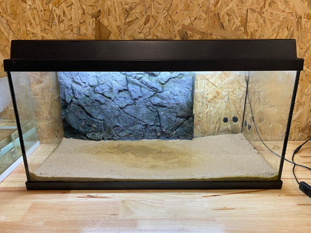 Juwel aquarium, Dieren en Toebehoren, Ophalen, Gevuld zoetwateraquarium