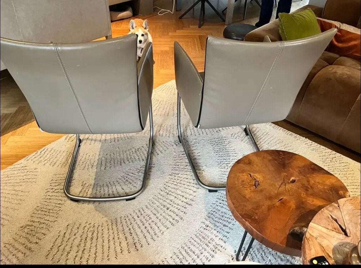 2x Moderne Eetkamerstoelen - Piet Boon-Taupe Leer & Chroom, Ophalen, Gebruikt, Twee, Overige kleuren