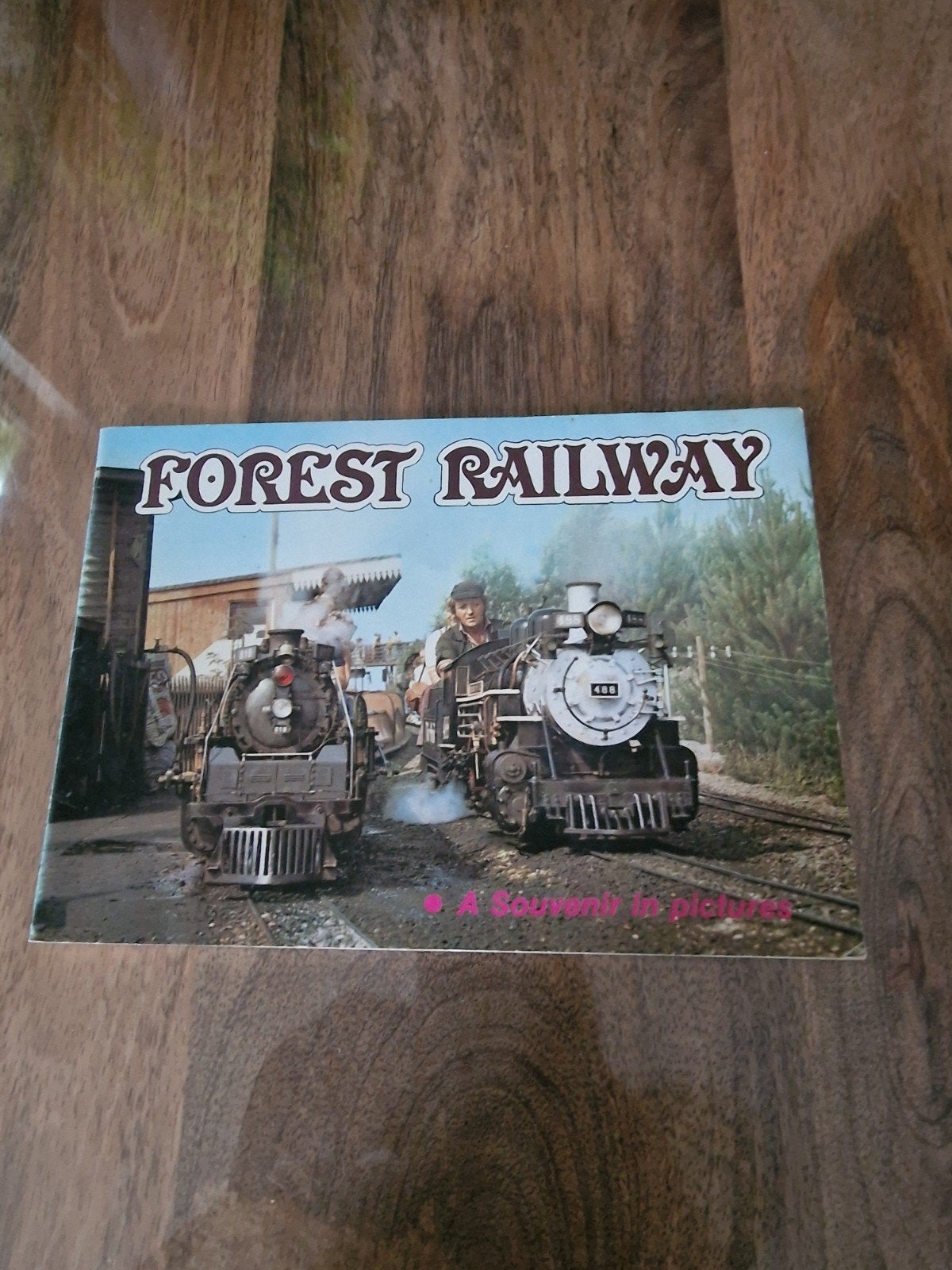 Forest Railway - Een Souvenir in Beelden (Engels), Ophalen of Verzenden, Gelezen, Overige typen