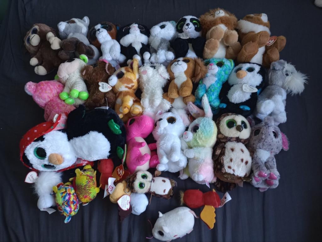Beanie boo's, Ophalen of Verzenden, Gebruikt, Overige typen