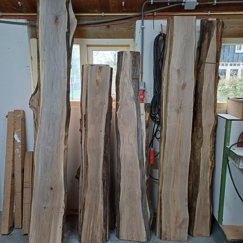 Schaaldelen Eik, Elzen en Taxus, Doe-het-zelf en Verbouw, Hout en Planken, Ophalen, Nieuw, 200 tot 250 cm, Plank