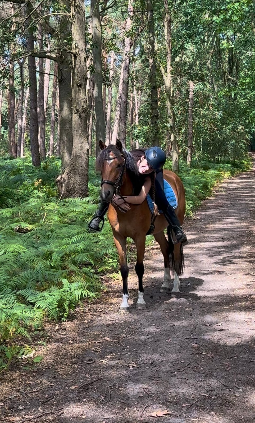 Superlieve pony voor fun en/of sport!, Met stamboom, Ruin, Dressuurpony, Zadelmak