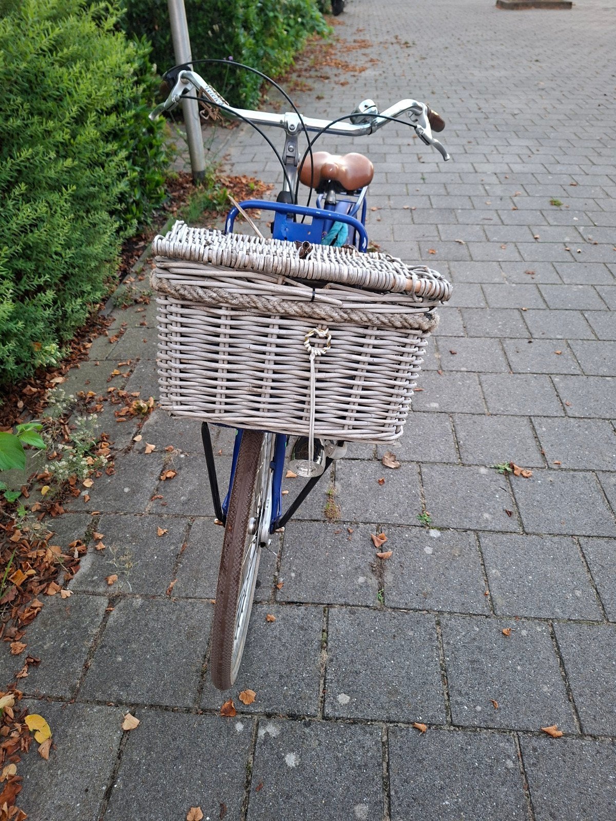 Foto 5 van Cortina lief transportfiets damesfiets