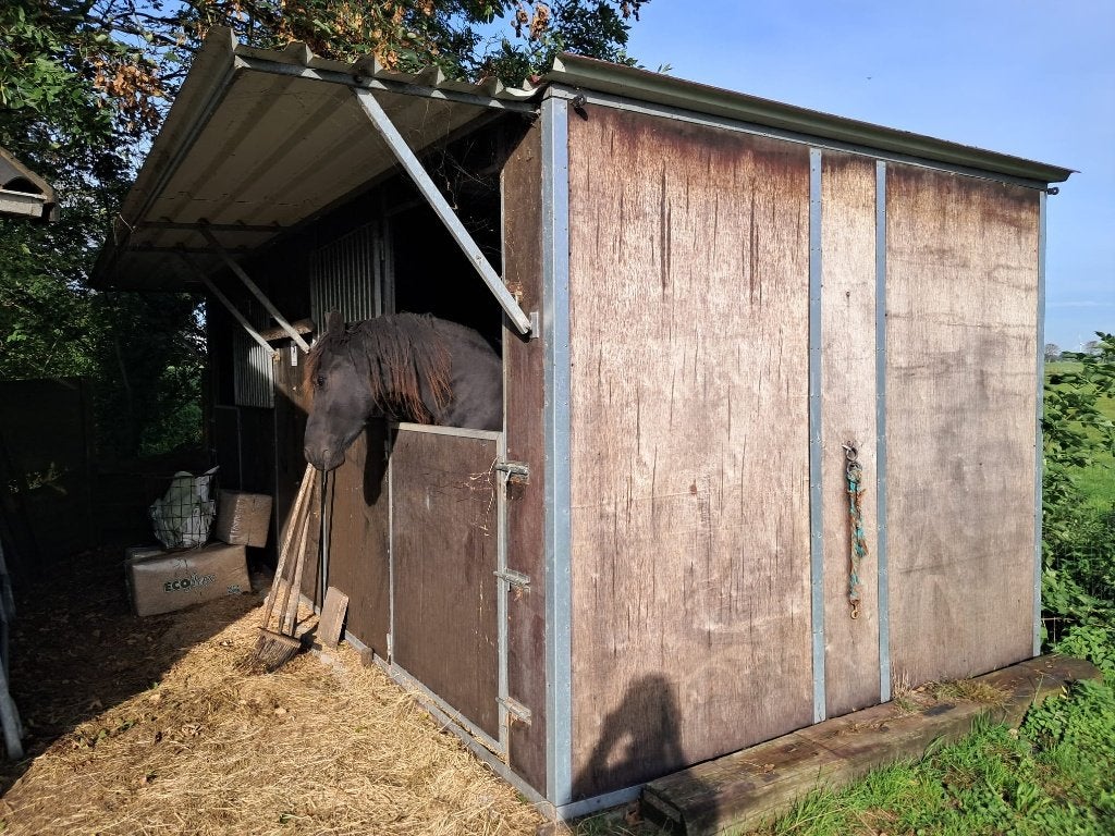 Mobiele paardenbox, Dieren en Toebehoren, Stalling, 2 of 3 paarden of pony's