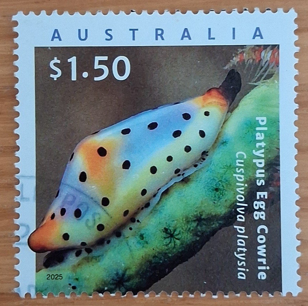 AUSTRALIË 2025 : LIVING SEASHELL SHEET, Ophalen of Verzenden
