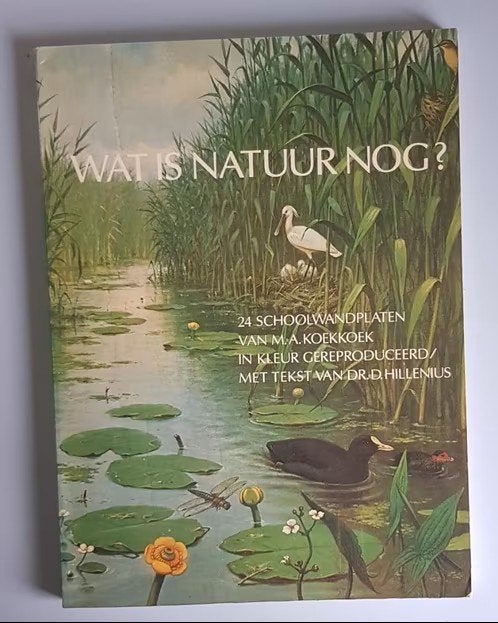 Boek: Wat is natuur nog (24 schoolwandplaten door Koekkoek), Verzenden, Gelezen, Natuur algemeen