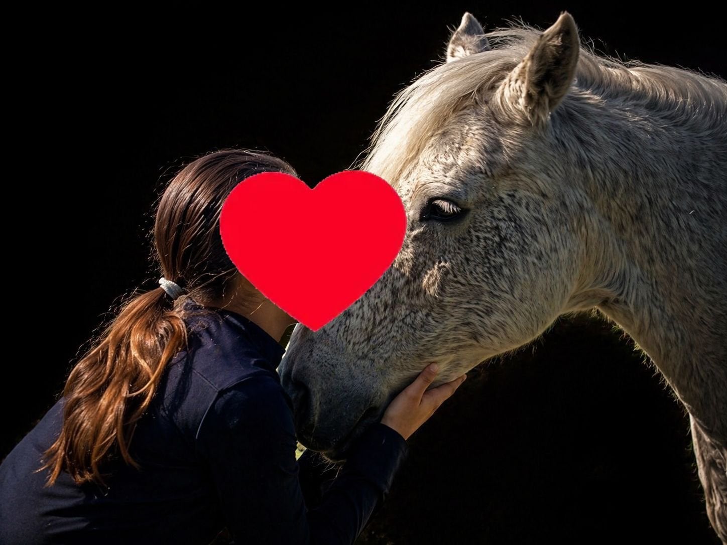 Verzorgpony/paard gezocht, Vacatures