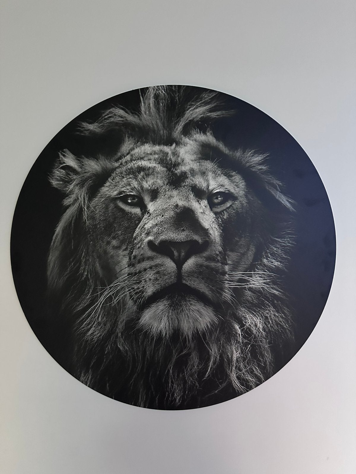 Wandcirkel leeuw 70 cm, Ophalen, 70 cm, Meerkleurig, Zo goed als nieuw