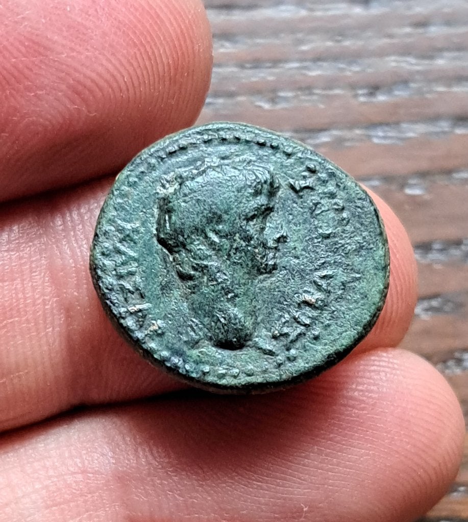 Augustus - Frygië - Apollo, Ophalen of Verzenden, Overige landen, Losse munt