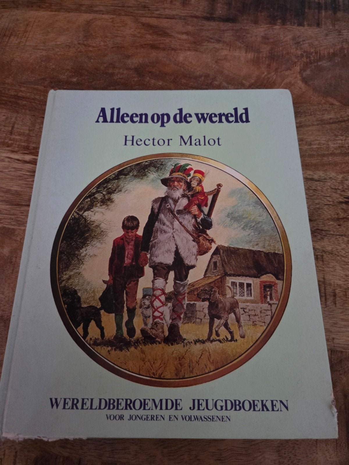 Hector Malot Alleen op de wereld, Ophalen of Verzenden