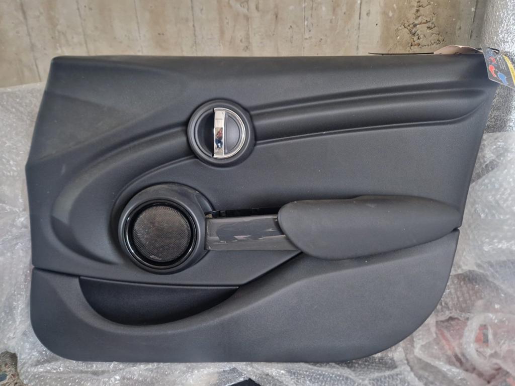 Deurpaneel portier links-voor Mini Cooper (vanaf 2018), Ophalen, Mini