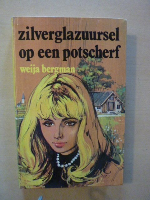 Weija Bergman - Zilverglazuursel op een potscherf, Verzenden, Zo goed als nieuw