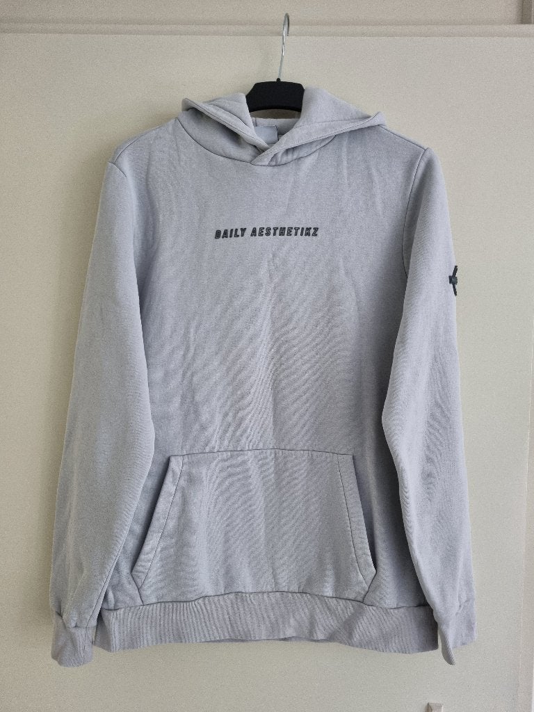 Trui / hoodie voor heren -- maat L -- Daily Aesthetikz, Maat 52/54 (L), Ophalen of Verzenden, Zo goed als nieuw, Grijs