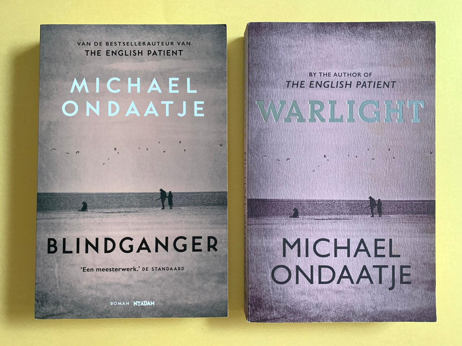 Romans van Michael Ondaatje, Ophalen of Verzenden, Zo goed als nieuw