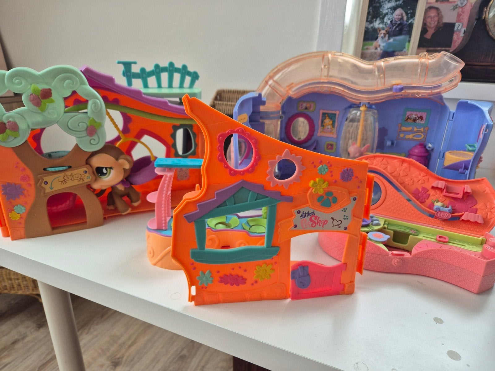 Little petshop, Ophalen, Gebruikt, Jongen of Meisje