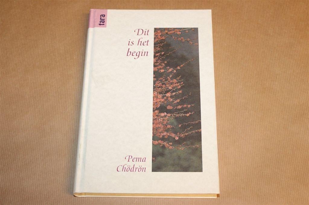 Dit is het Begin — Boeddhisme & Overgave — Chodron 1995, Ophalen of Verzenden, Gelezen, Overige onderwerpen, Achtergrond en Informatie