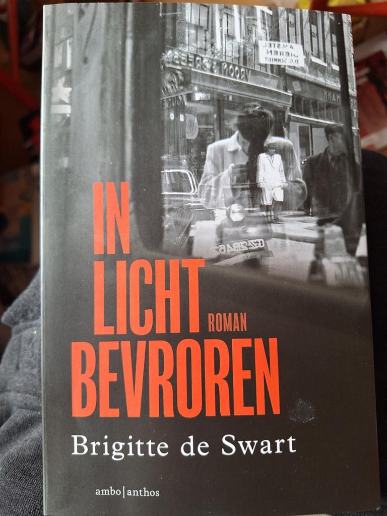 In licht bevroren - Brigitte de Swart  ZGAN, Ophalen of Verzenden, Zo goed als nieuw