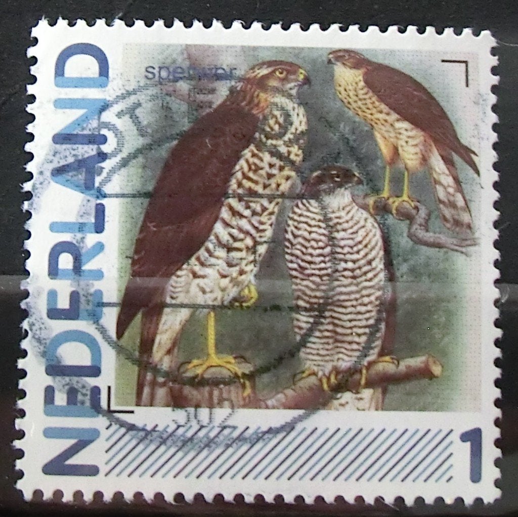 persoonlijke postzegel, Vogels, gest (lees aub), Ophalen of Verzenden, Na 1940, Gestempeld
