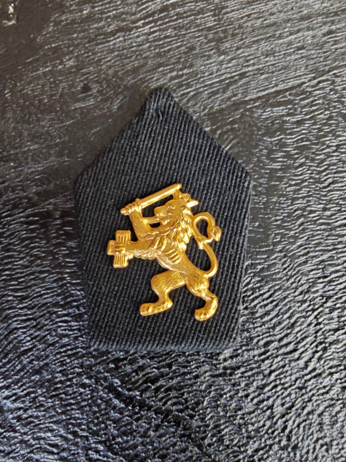 kraagpatje Leeuw, Ophalen of Verzenden, Landmacht, Nederland, Embleem of Badge