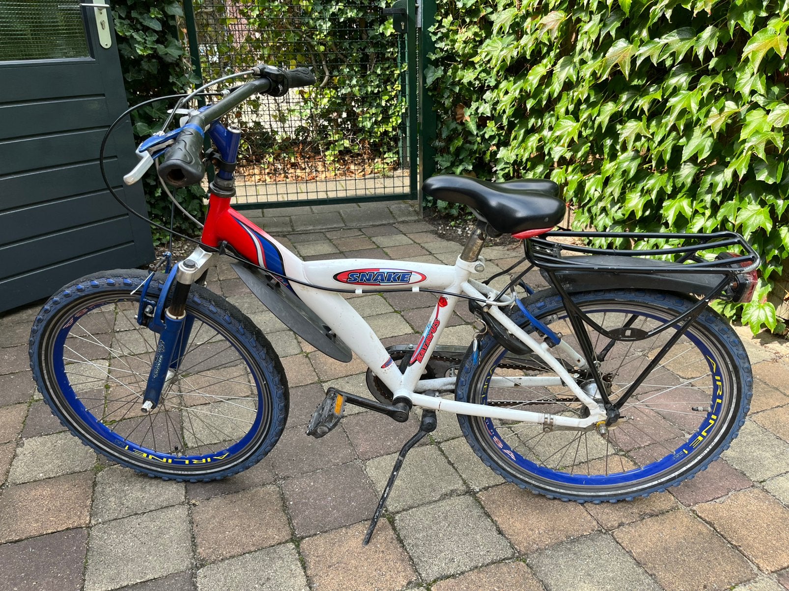 Batavus Snake 22 inch, Fietsen en Brommers, Ophalen, Terugtraprem, 22 inch, Versnellingen