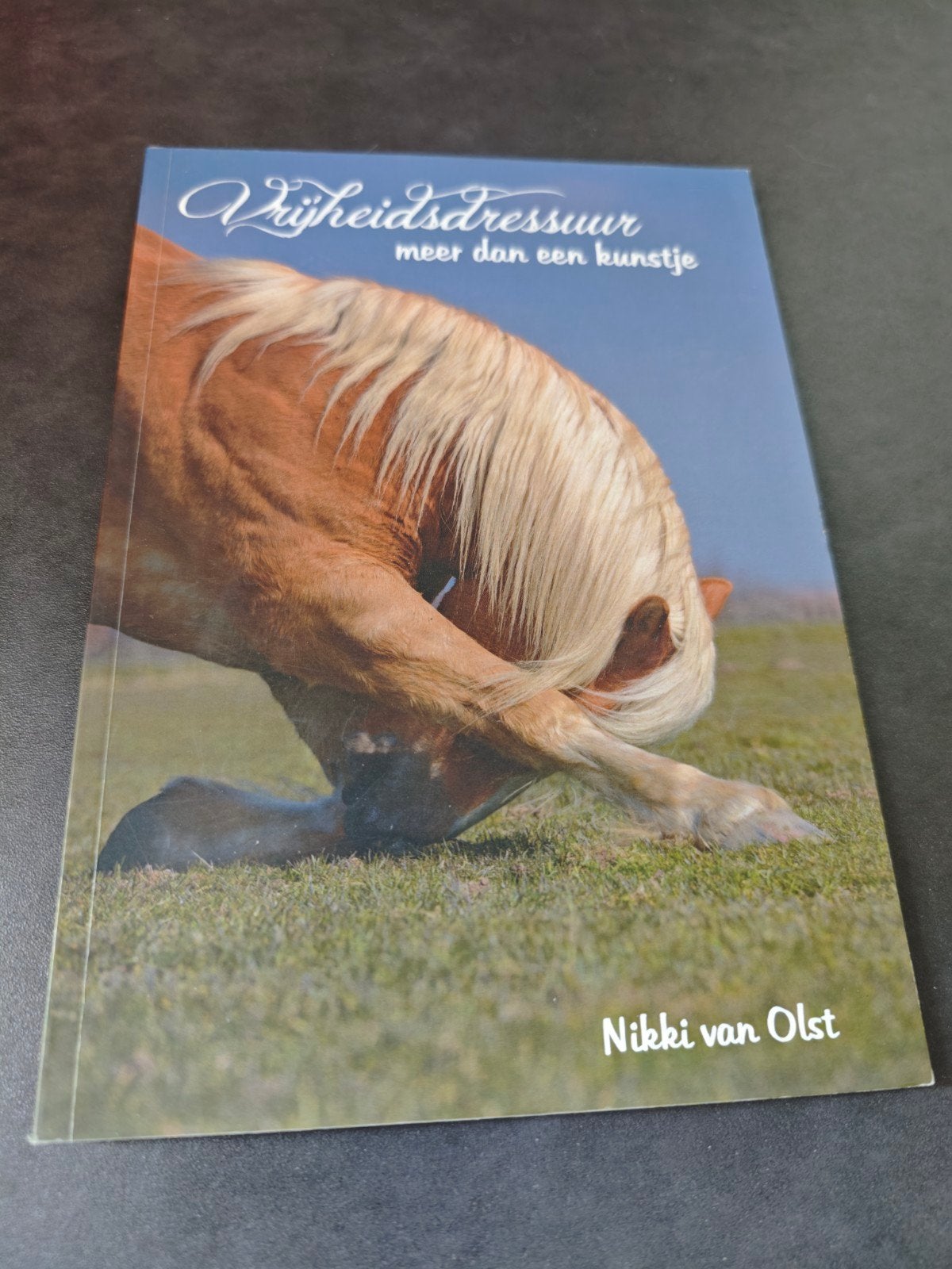 Vrijheidsdressuur: Meer dan een kunstje - Nikki van Olst, Boeken, Ophalen of Verzenden, Zo goed als nieuw, Overige onderwerpen