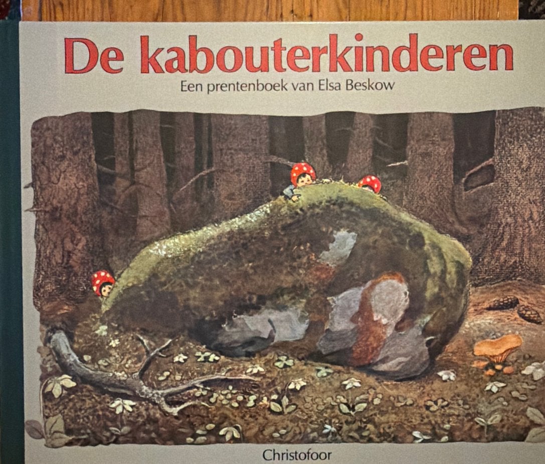 De kabouterkinderen - Prentenboek van Elsa Beskow, Ophalen of Verzenden, Zo goed als nieuw, Prentenboek