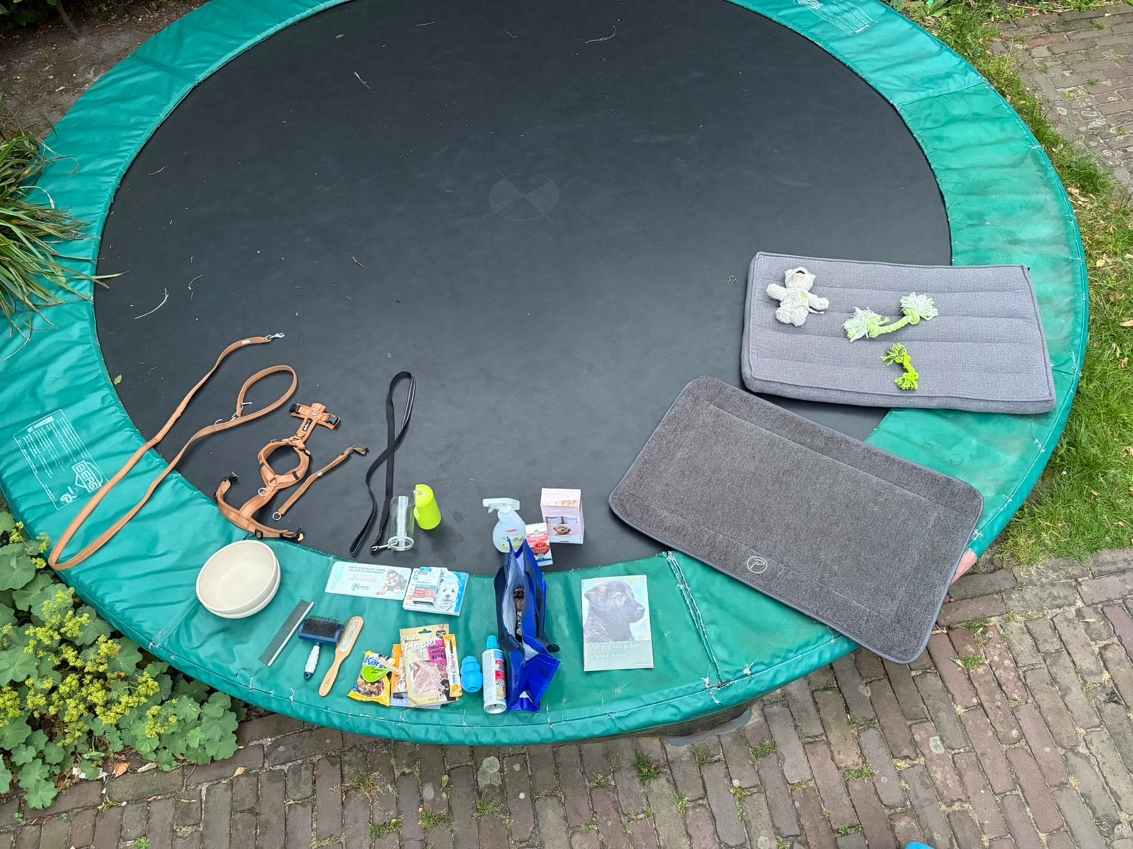 Puppy benodigdheden, Ophalen, Zo goed als nieuw