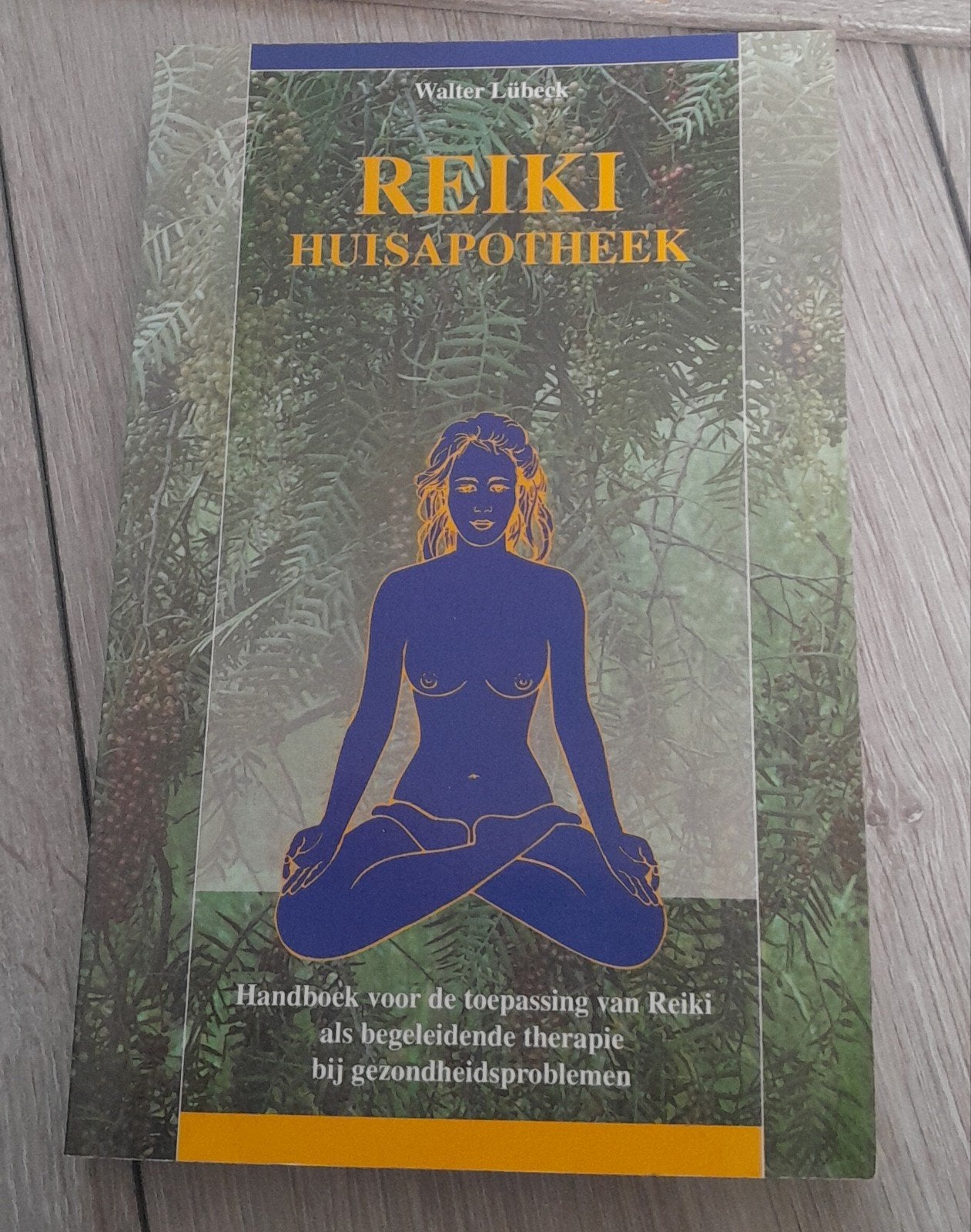 Reiki Huisapotheek - Walter Lübeck, Walter Lübeck, Spiritualiteit algemeen, Instructieboek, Ophalen