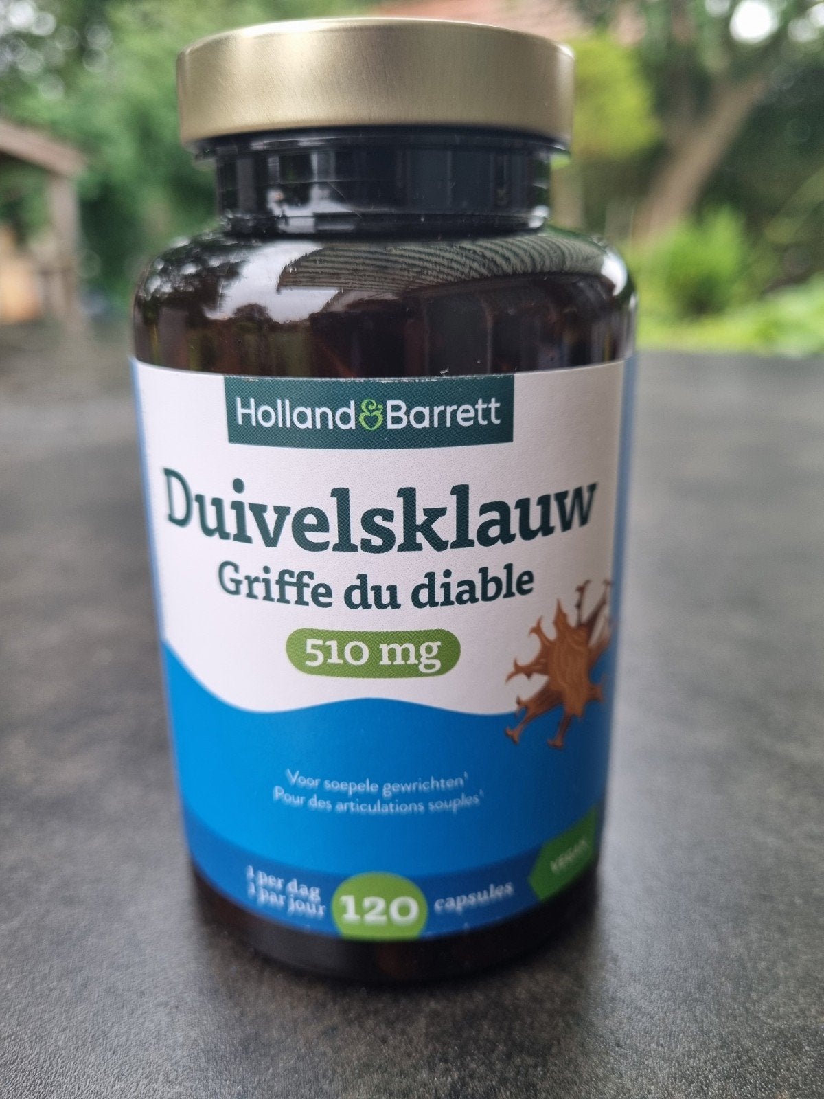 Holland & Barrett Duivelsklauw 510 mg - 120 capsules, Ophalen of Verzenden, Nieuw, Overige typen