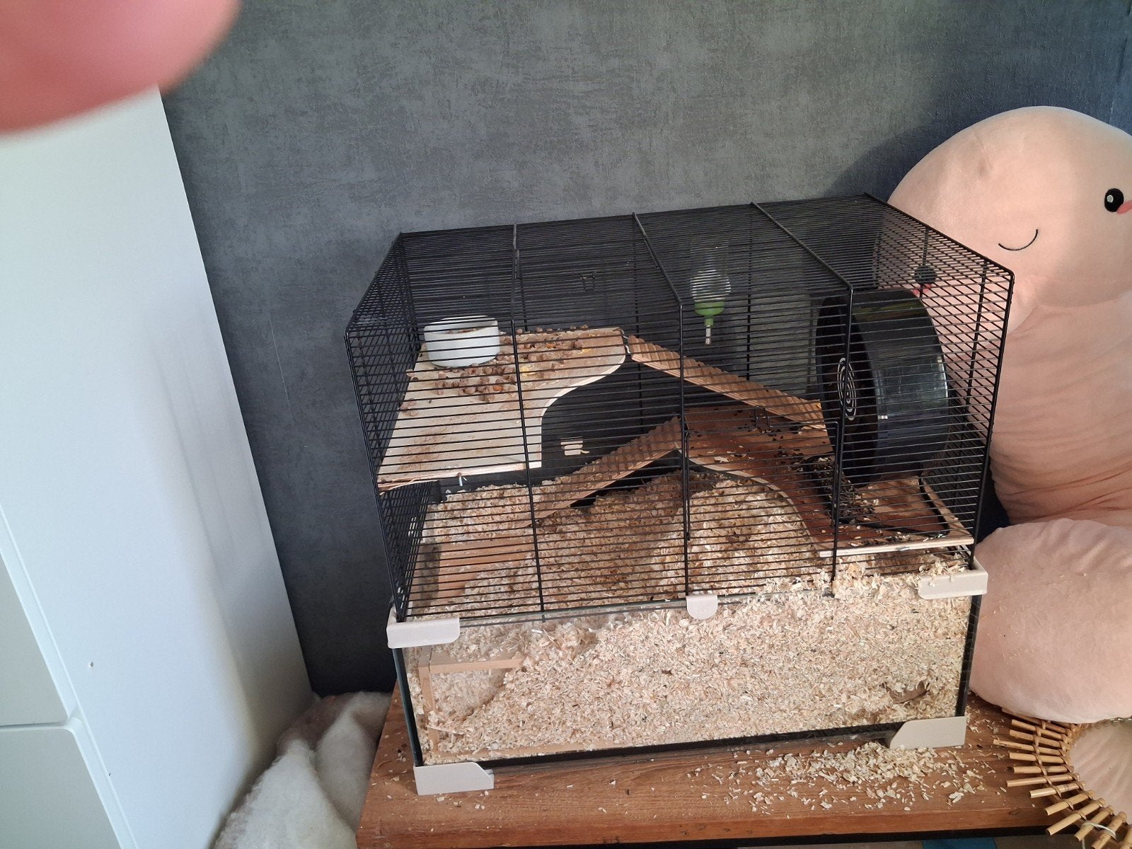 Kooi met een hamstee, Dieren en Toebehoren, Minder dan 60 cm, Kooi, Minder dan 75 cm, Ophalen of Verzenden
