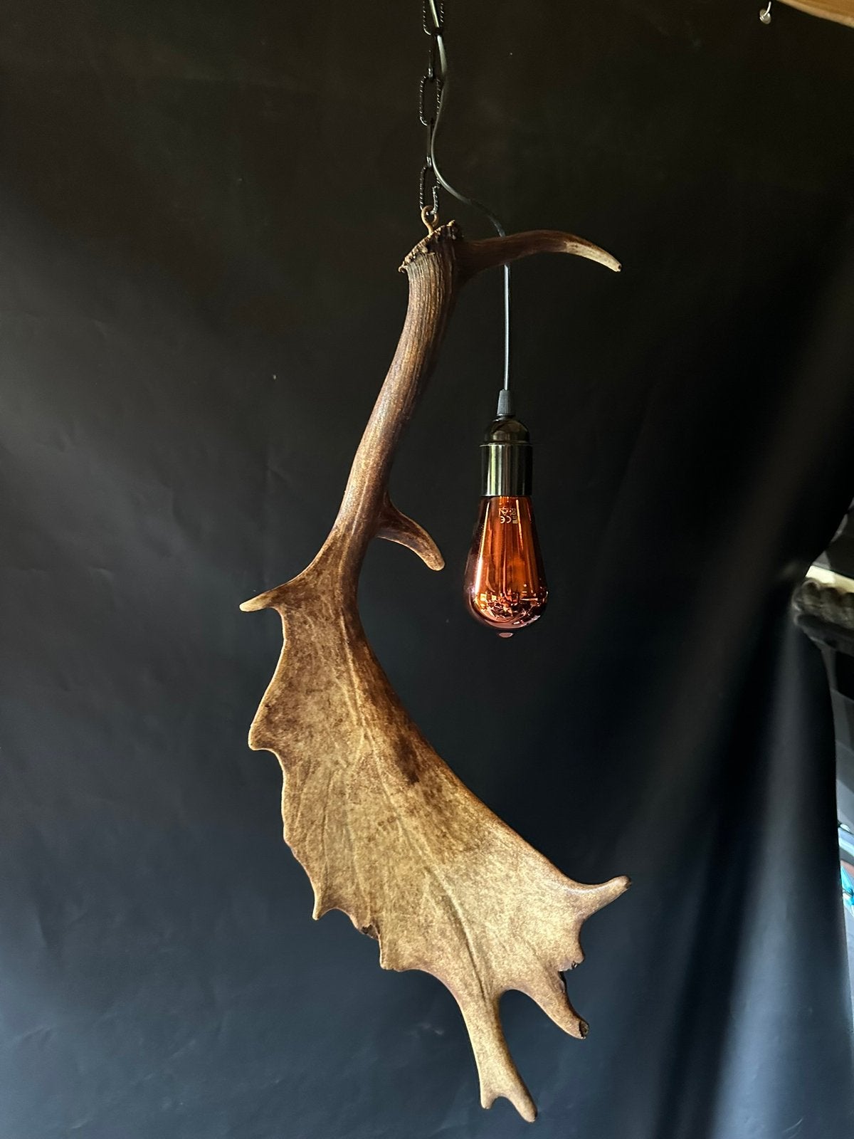 Geweienlamp.lamp.hanglamp.geweien.edelhert.damhert.brocante, Ophalen of Verzenden, Nieuw