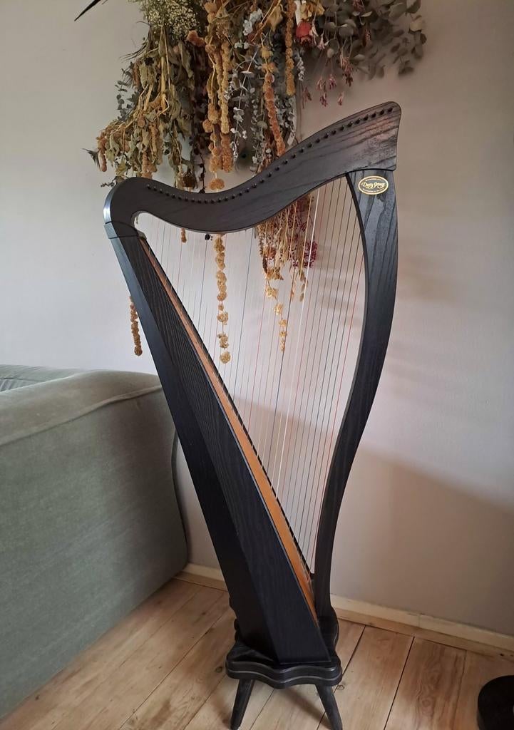 Harp Dusty Strings  Ravenna 34, Ophalen, Zo goed als nieuw