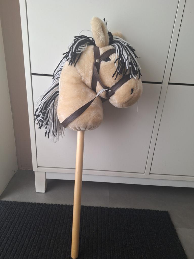 Fjord Stokpaard, Ophalen of Verzenden, Zo goed als nieuw, Jongen of Meisje