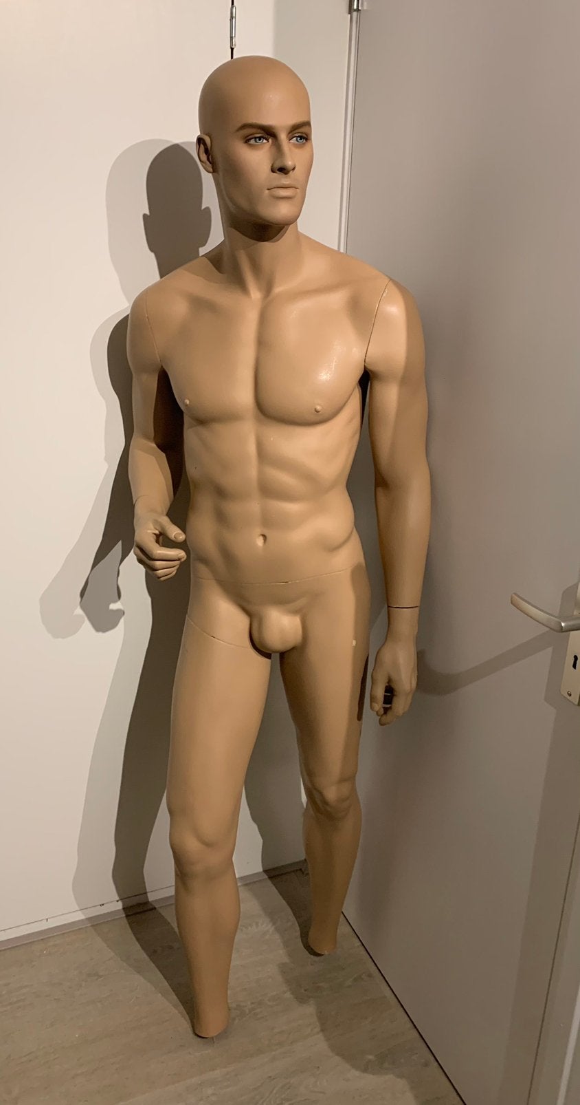 Mannequin paspop voor militaria display, Ophalen, Overige soorten, Duitsland, Kleding of Schoenen