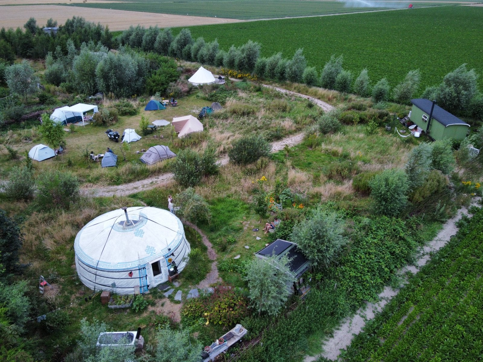 Sfeervolle yurt in voedselbos-Zuid Holland