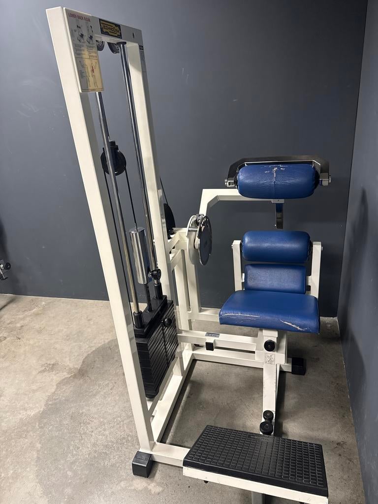 Technogym Lower Back ROM - Rugtrainer, Ophalen, Gebruikt, Rug, Overige typen