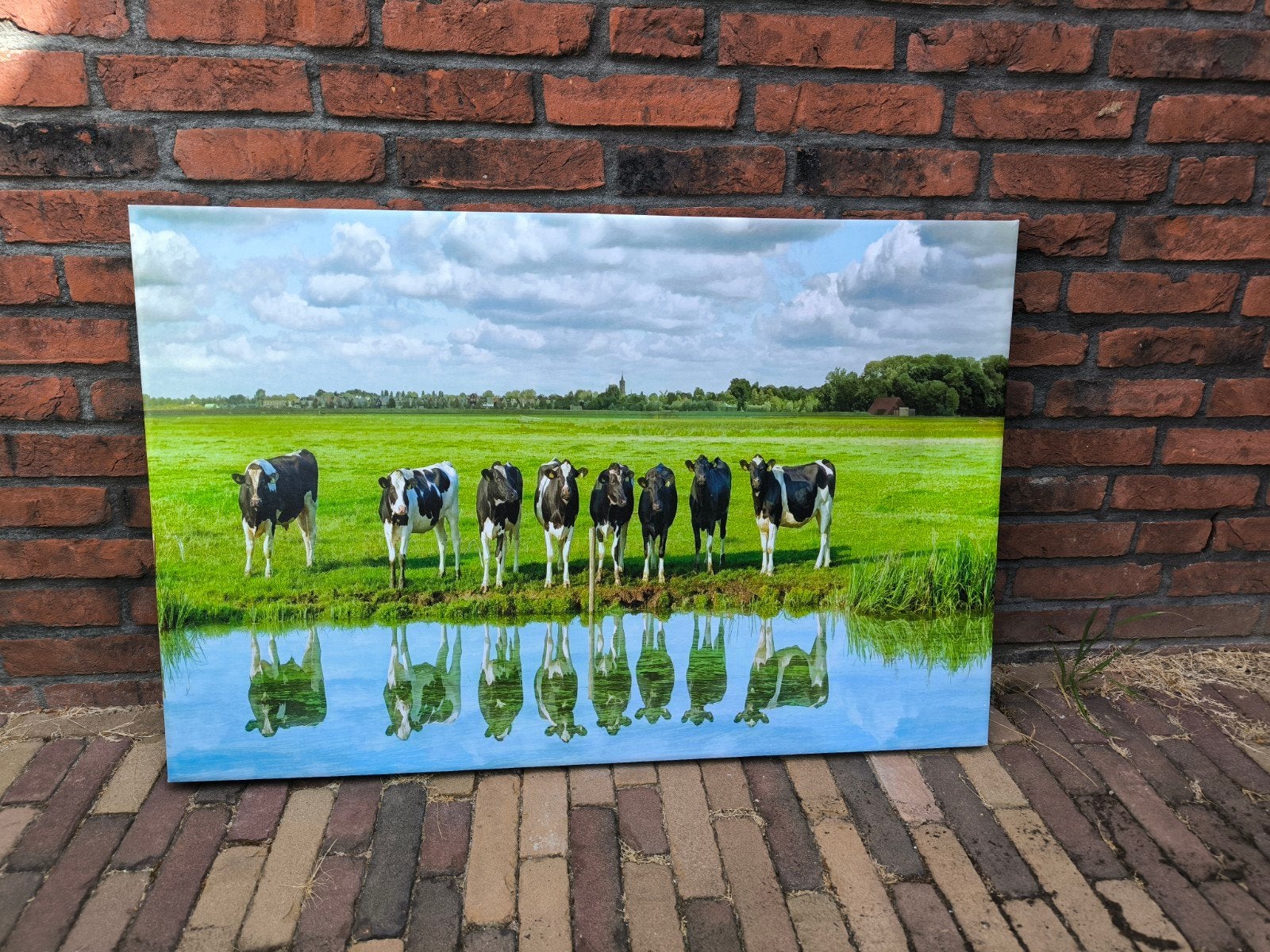 Mooi canvas met koeien erop, Ophalen