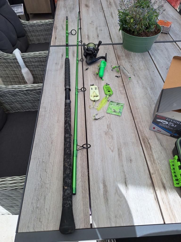Mad cat Allround 285 hengel met Ryobi Big Cat 6500 spinmolen, Ophalen of Verzenden, Zo goed als nieuw, Complete hengel