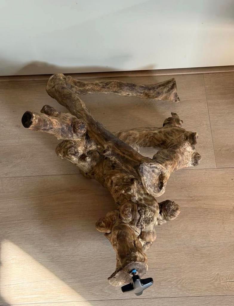 Javaboom/stam. 60 hoog 50 breed, Dieren en Toebehoren, Ophalen, Nieuw, Speelgoed