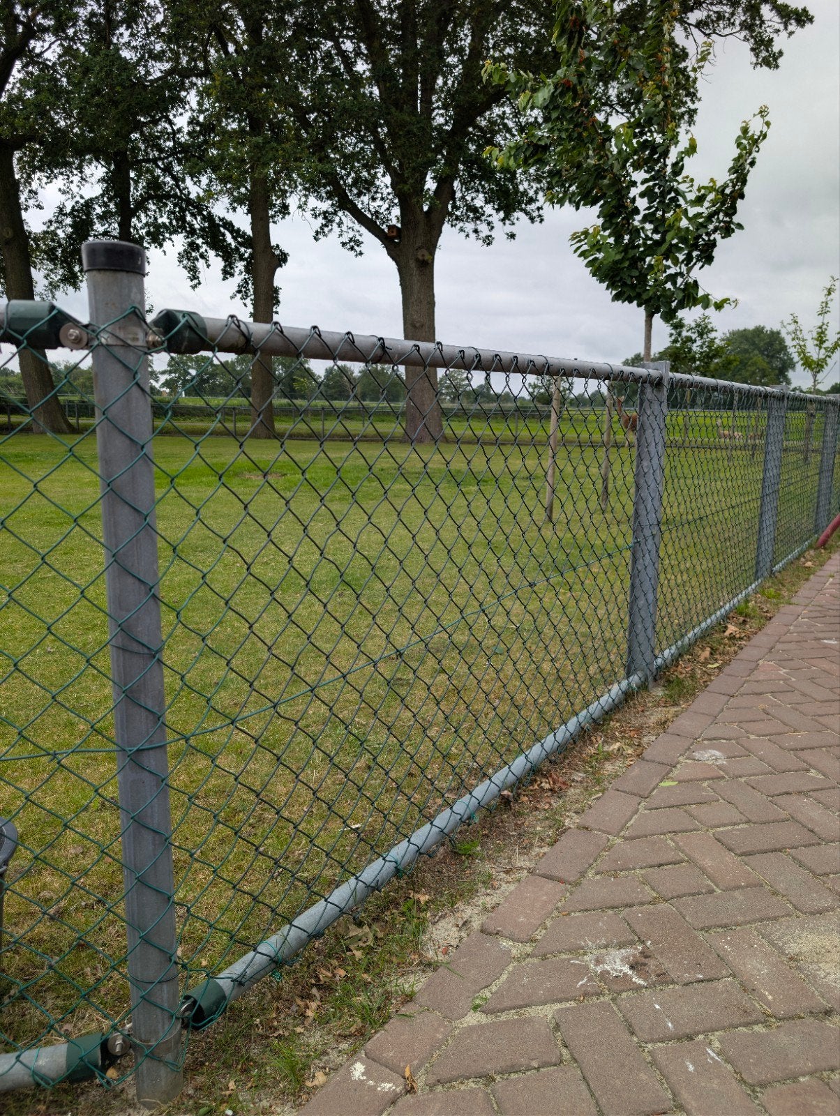 Gaashekwerk met palen en betonvoeten, Ophalen, Gebruikt, IJzer, Gaashekwerk