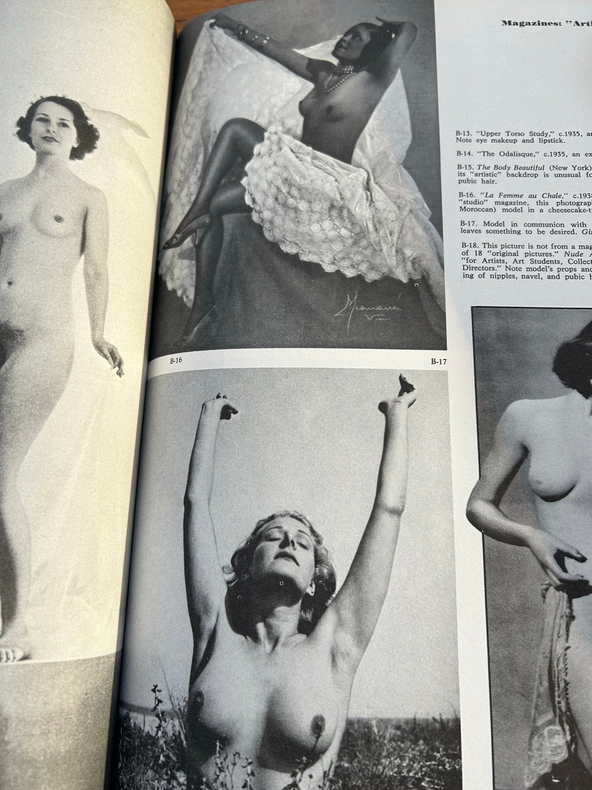 The Pin-Up: A Modest History - Mark Gabor (1972), Boeken, Ophalen of Verzenden, Gelezen, Europa overig