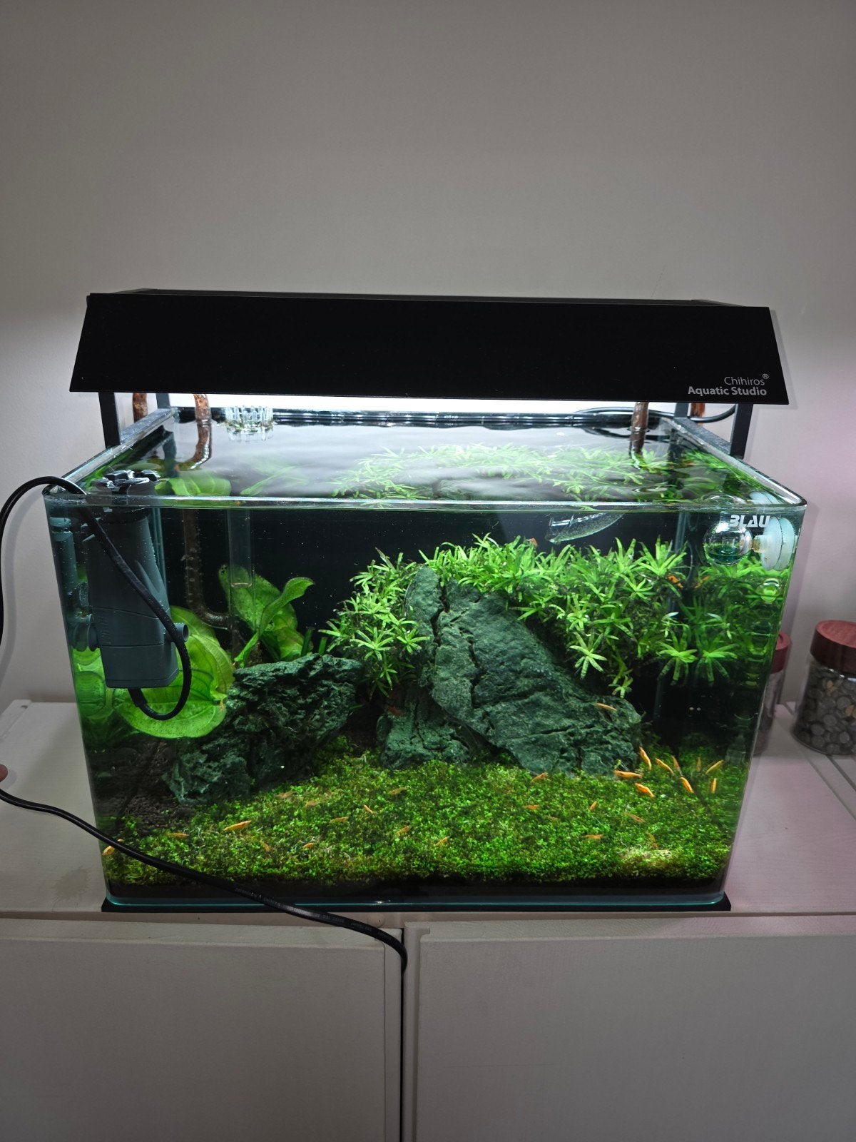 Compleet aquarium van Blau, Dieren en Toebehoren, Ophalen, Zo goed als nieuw, Leeg aquarium