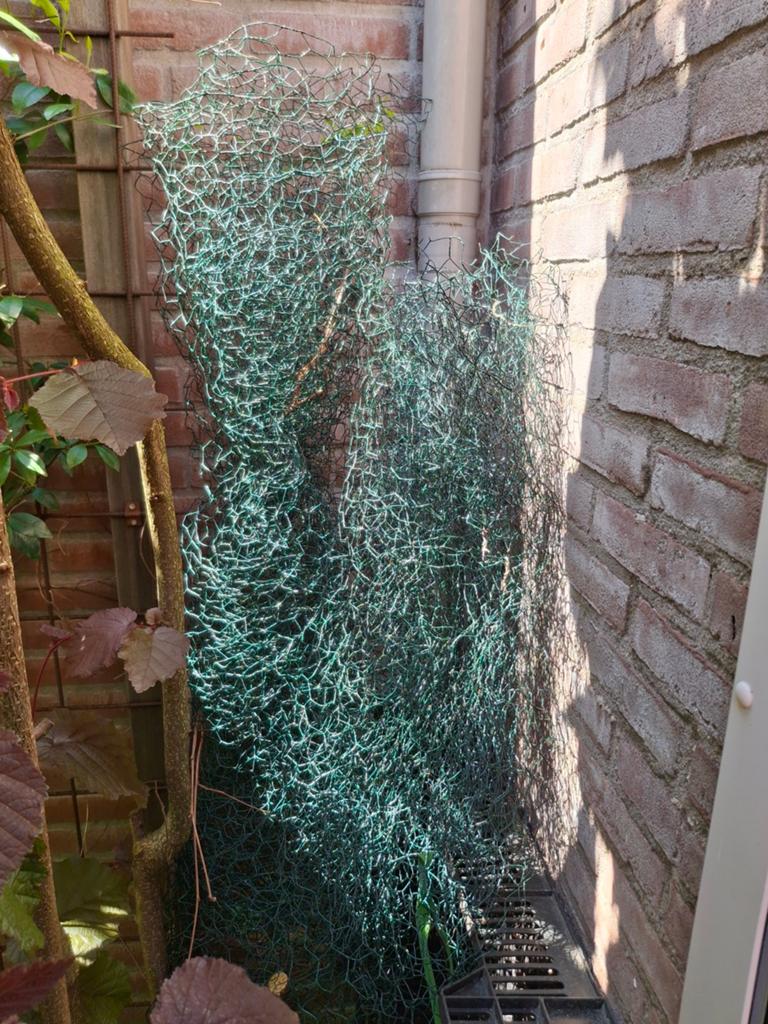6 meter kippengaas en losse stukken, Ophalen of Verzenden, Gebruikt, Minder dan 10 meter, Gaas