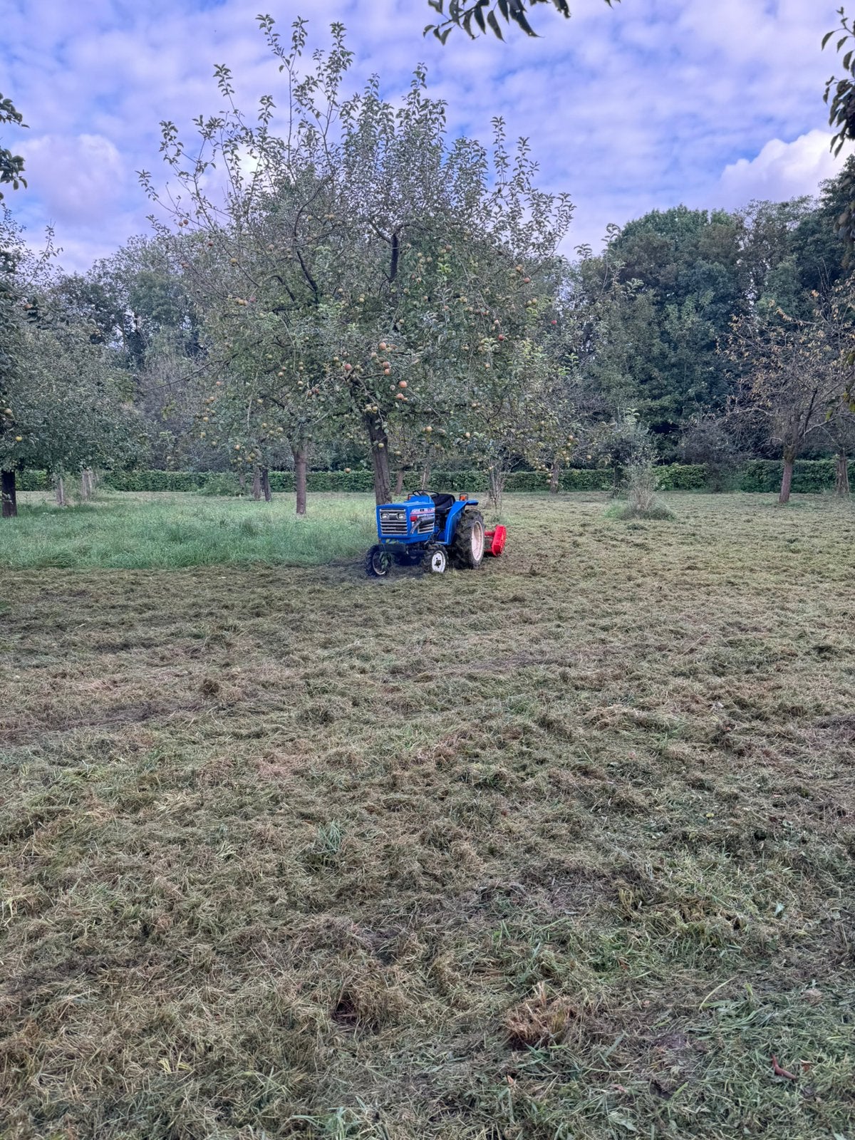 Klepelmaaien/freeswerk/zaaiwerk, Tuin- of Vijveraanleg