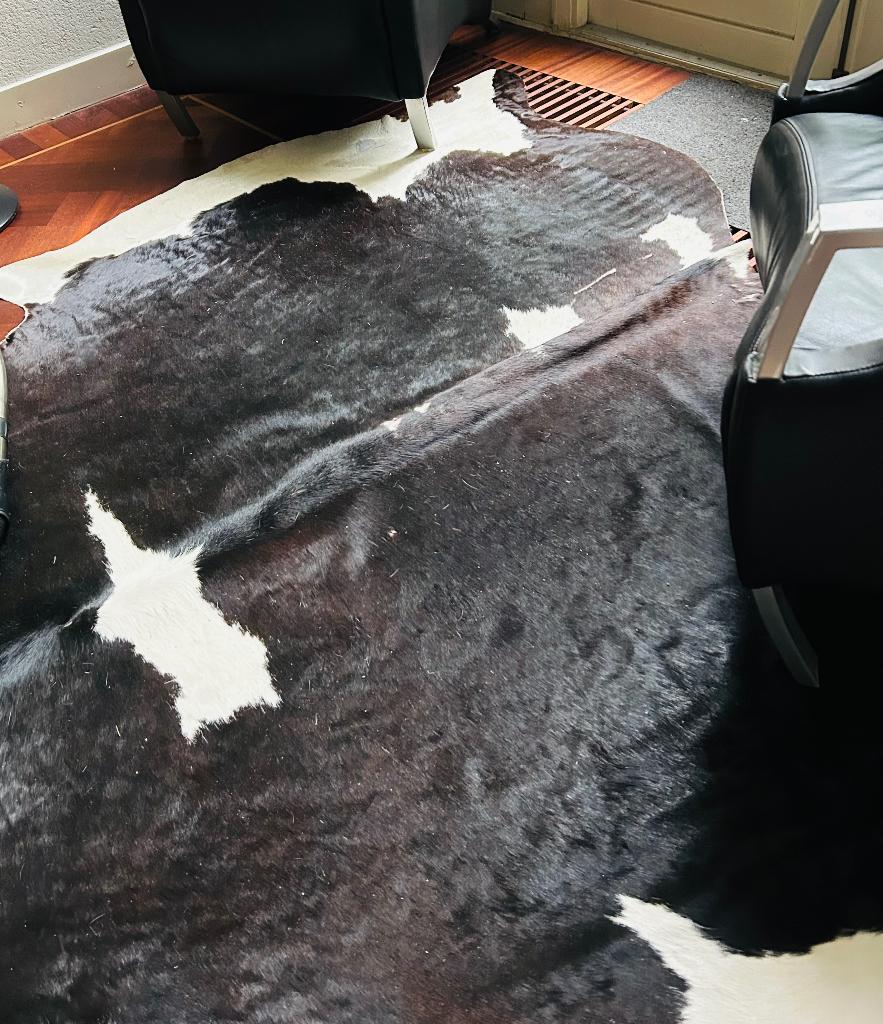 2 grote koeienhuiden, Ophalen, Gebruikt, 150 tot 200 cm, Crème