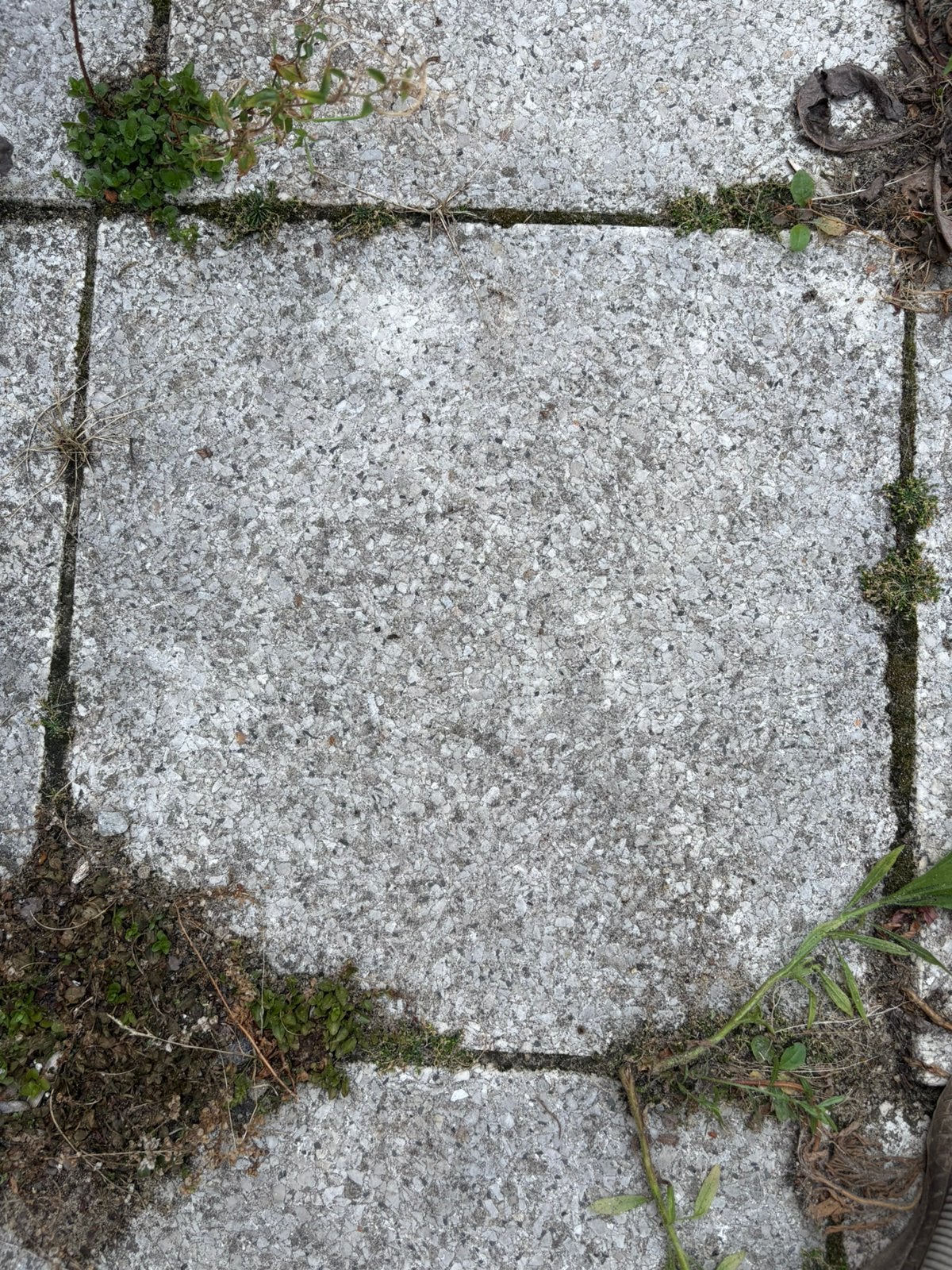 Tuintegels 40x40 ongeveer 30 stuks, Ophalen, Gebruikt, Beton, Terrastegels